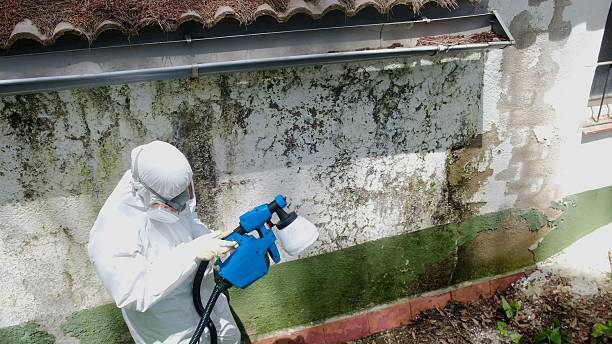 Top rated local Commercial Mold Remediation specialists in Mill Creek, WA